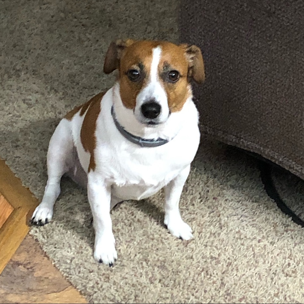 Meet your Posher, Shawn